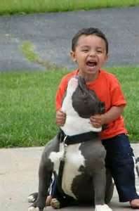 a-perro