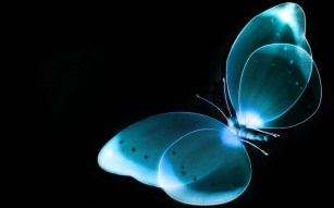 a-mariposas