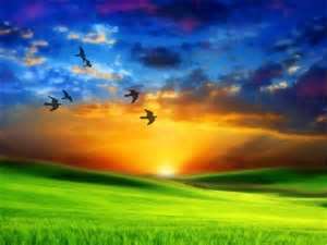 amanecer1