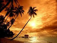 sol-y-playa-palmeras