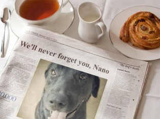 PhotoFunia-aace0e_o