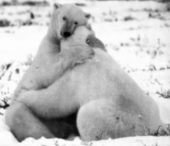 amistad