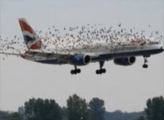 avión