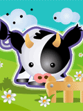 vaca96