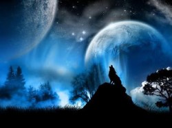 lobo-y-luna