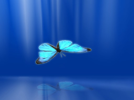 mariposa