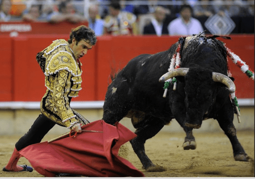 toros