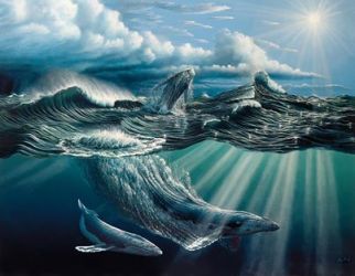 Ballena Favio Caporal