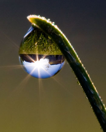 gota-de-rocio