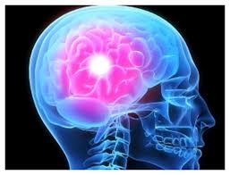 neurona2