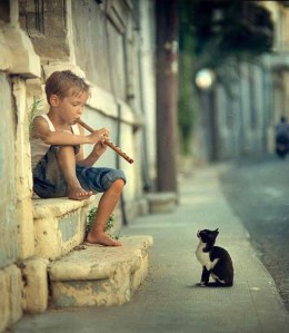 gato juicioso