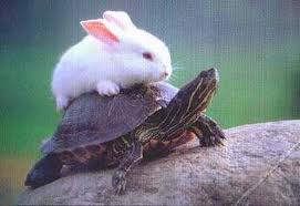 La-liebre-y-la-tortuga