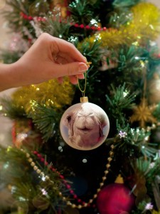 PhotoFunia-695b716_o