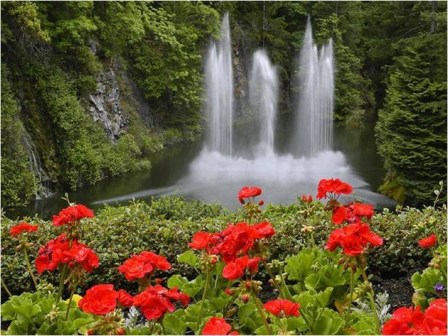 paisajes-con-flores-y-cascadas