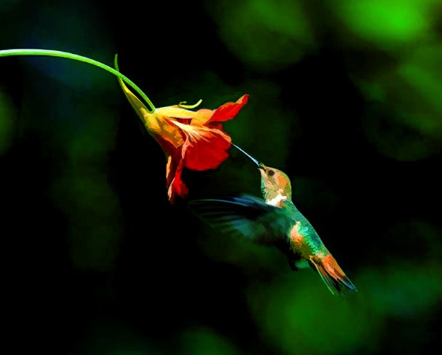 humming