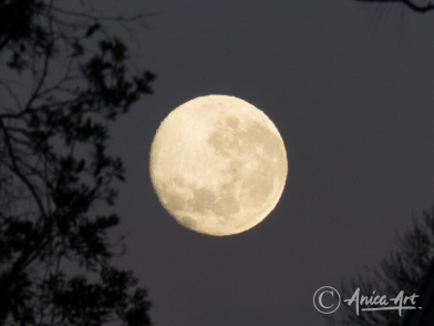 luna gigante