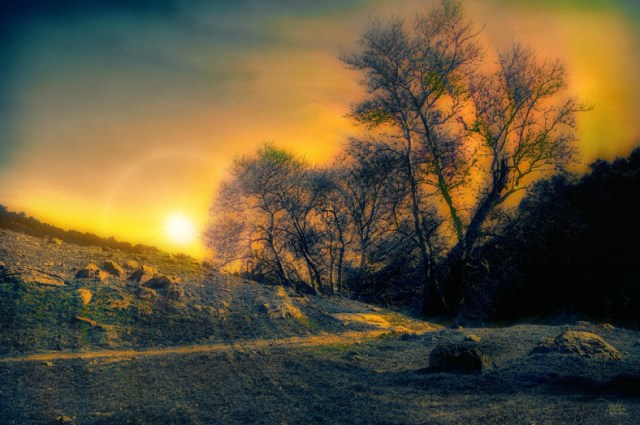 pacific-sunrise-72-res