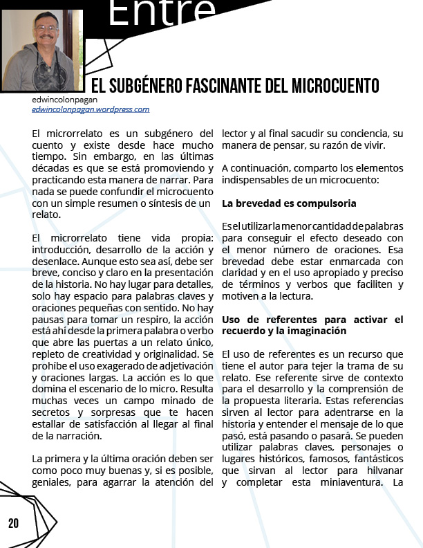 revista salto al reverso 5 diciembre febrero201b