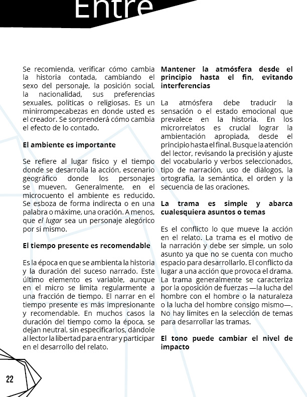 revista salto al reverso 5 diciembre febrero221c