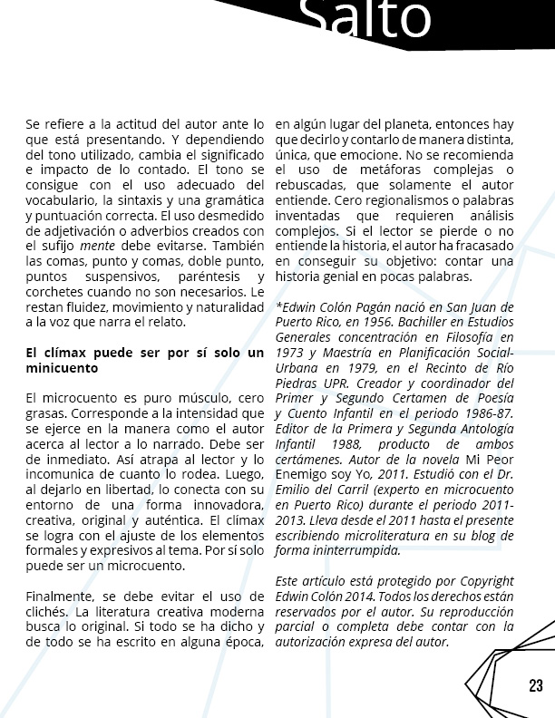 revista salto al reverso 5 diciembre febrero231d