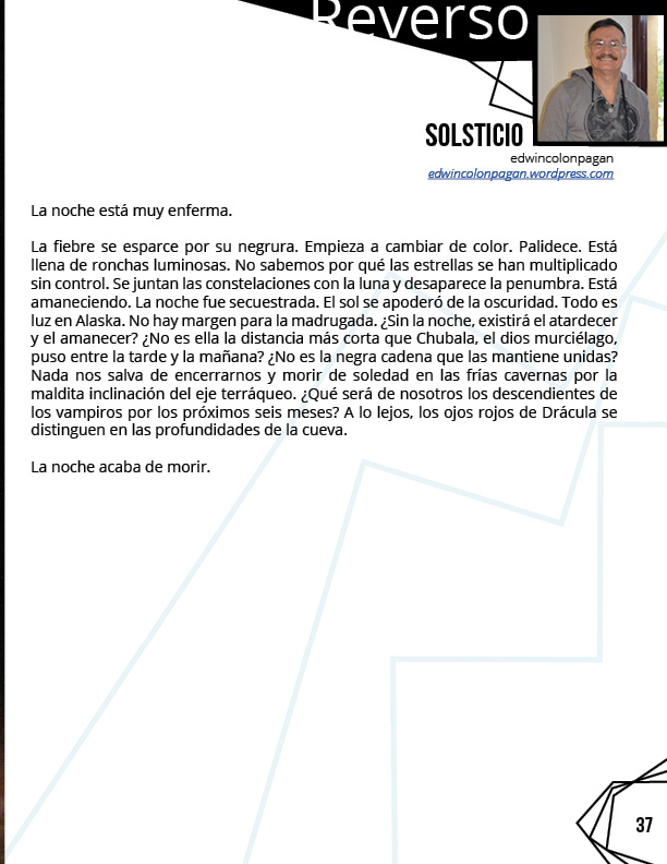 revista salto al reverso 5 diciembre febrero37